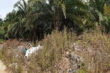 Masai Seri Alam Zoning Residential Agriculture Land