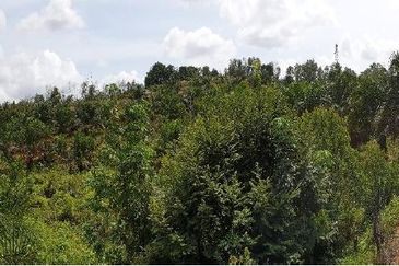 Masai Seri Alam Zoning Residential Agriculture Land