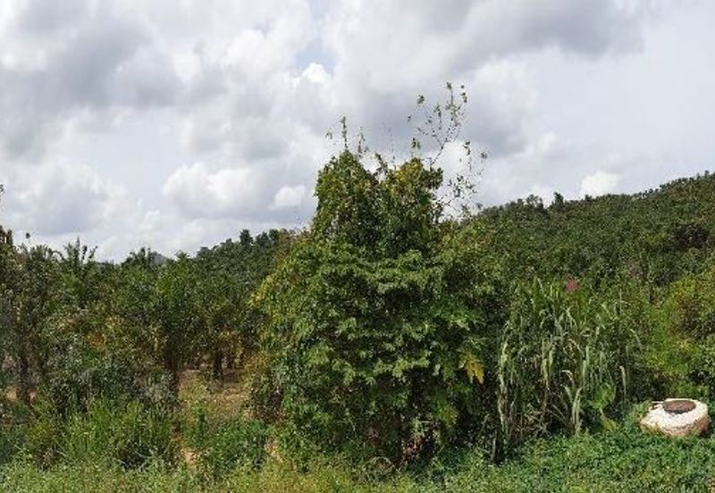 Masai Seri Alam Zoning Residential Agriculture Land