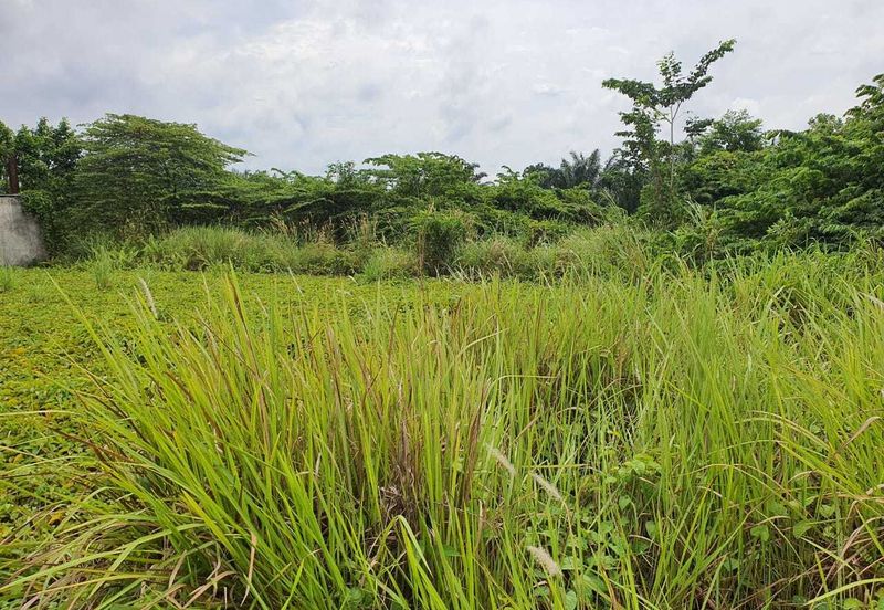 Simpang Renggam Industrial Land