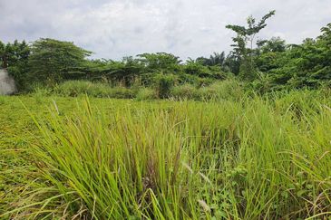 Simpang Renggam Industrial Land