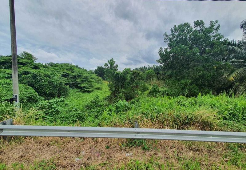 Simpang Renggam Industrial Land