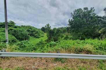 Simpang Renggam Industrial Land