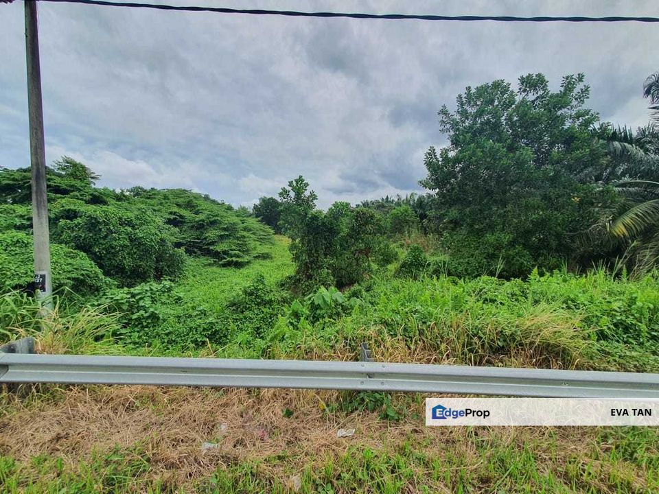 Simpang Renggam Industrial Land, Johor, Simpang Renggam