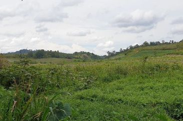 Kulai Sedenak Zoning Industrial Land