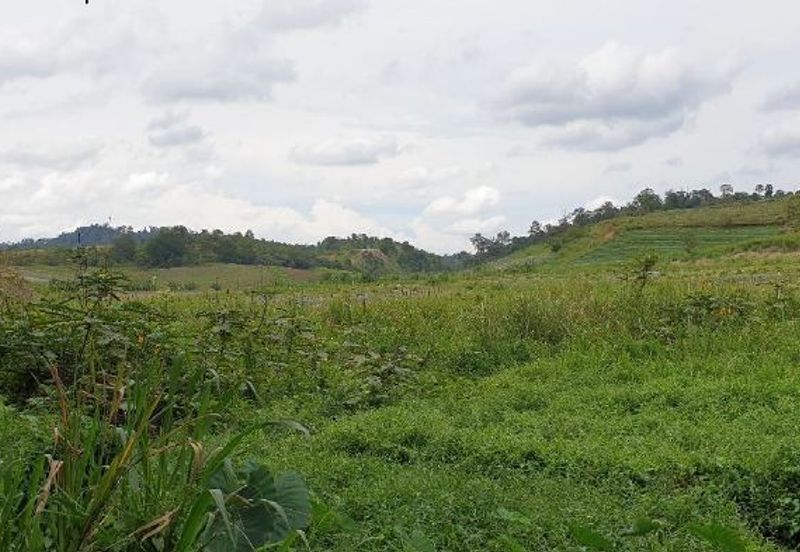 Kulai Sedenak Zoning Industrial Land