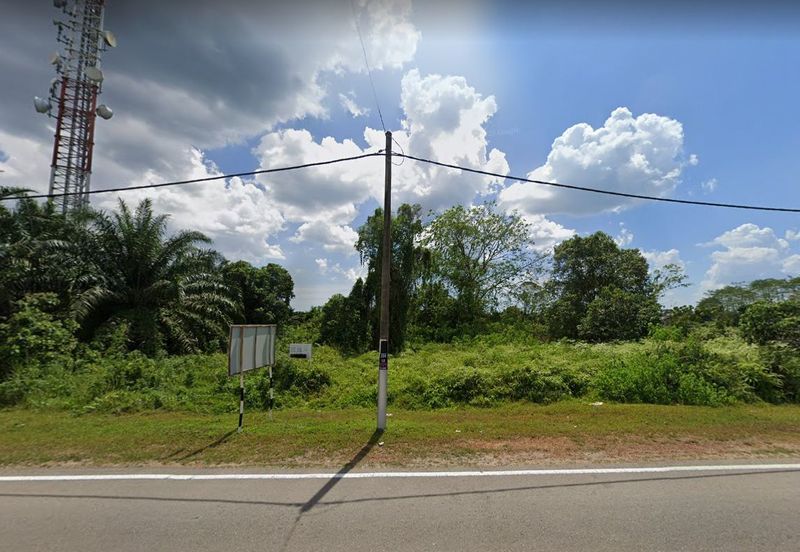 Pekan Nanas Agriculture Land