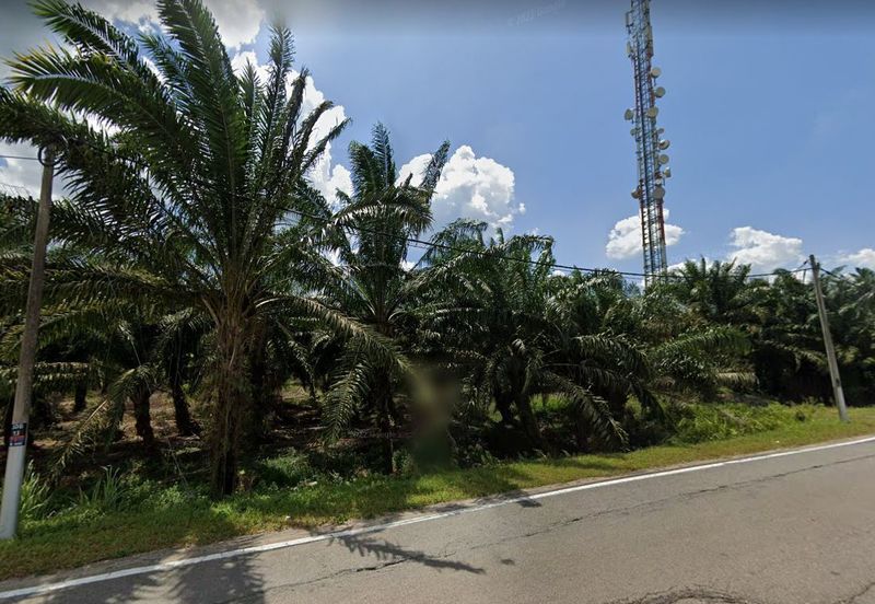 Pekan Nanas Agriculture Land