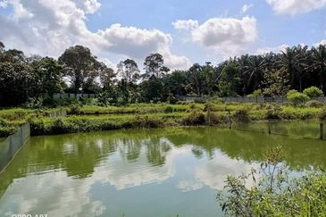 Plentong Fish Farm for Sale (Zoning Residential)