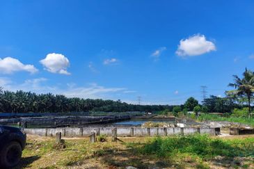 Plentong Fish Farm for Sale (Zoning Residential)