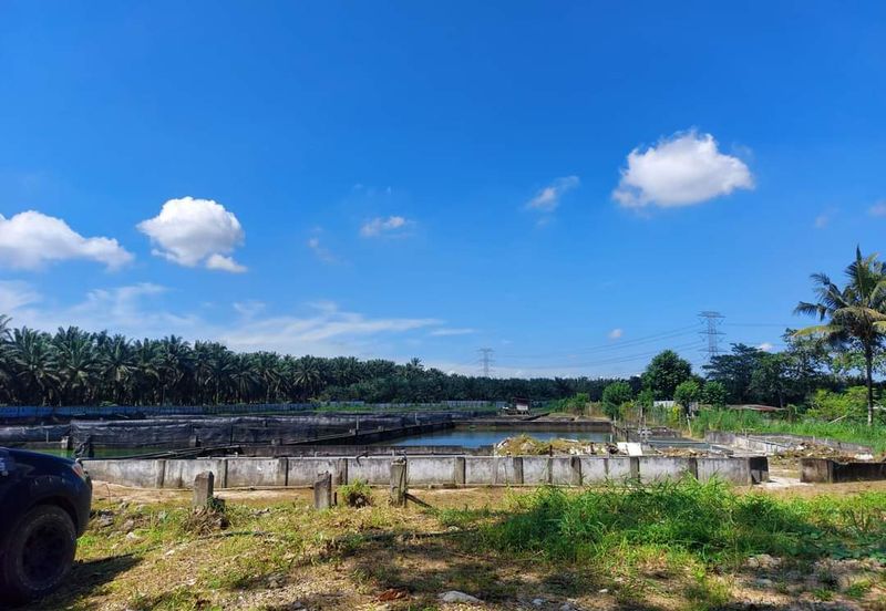 Plentong Fish Farm for Sale (Zoning Residential)