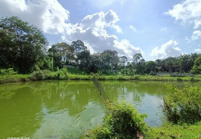 Plentong Fish Farm for Sale (Zoning Residential)