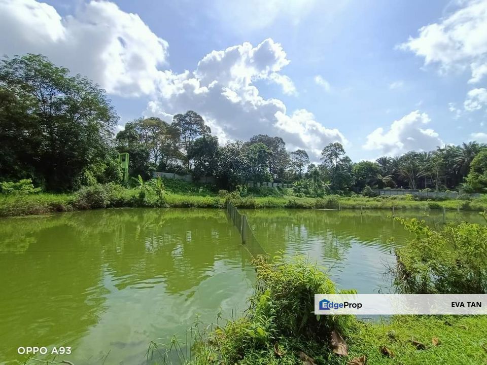 Plentong Fish Farm for Sale (Zoning Residential), Johor, Plentong