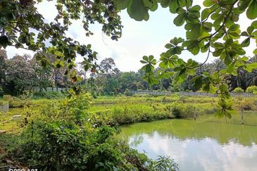 Plentong Fish Farm for Sale (Zoning Residential)