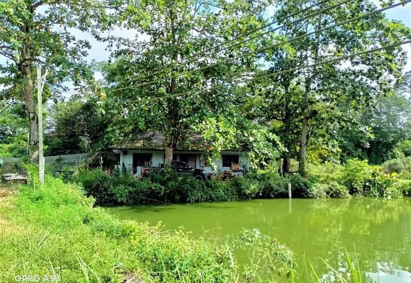 Plentong Fish Farm for Sale (Zoning Residential)