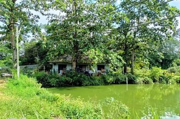 Plentong Fish Farm for Sale (Zoning Residential)