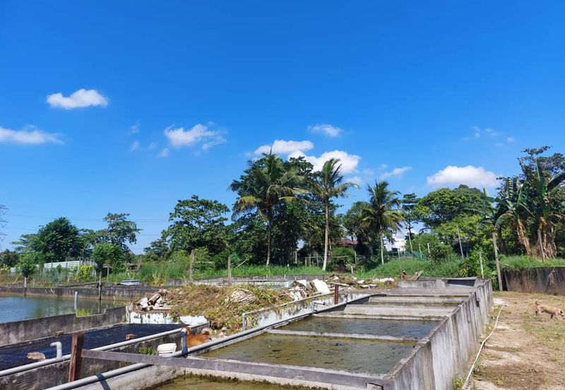 Plentong Fish Farm for Sale (Zoning Residential)