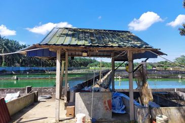 Plentong Fish Farm for Sale (Zoning Residential)