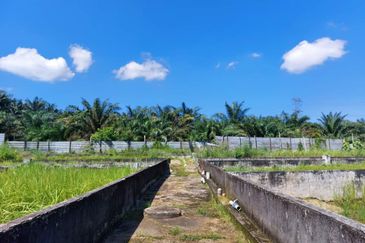 Plentong Fish Farm for Sale (Zoning Residential)