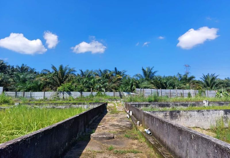 Plentong Fish Farm for Sale (Zoning Residential)