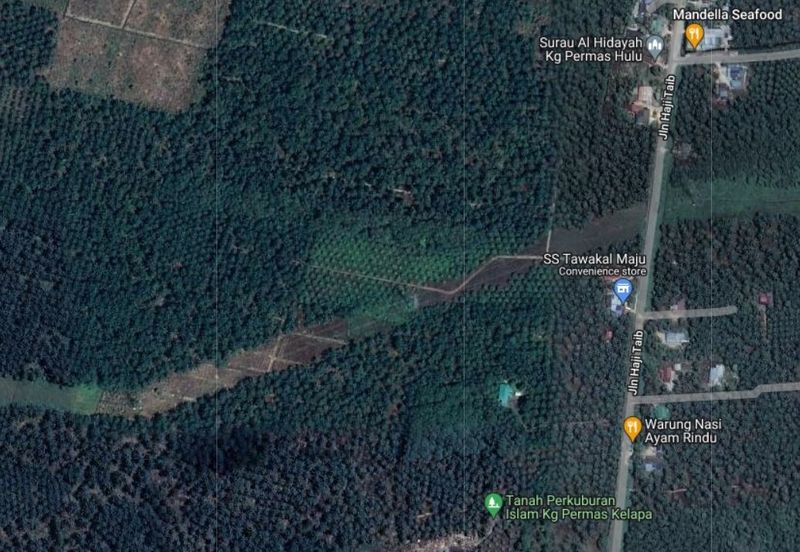 Pontian Agriculture Land