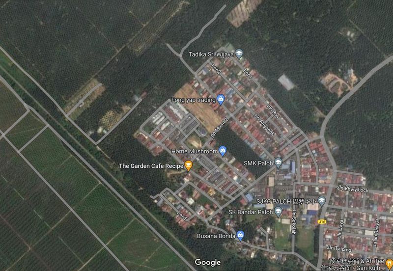 Paloh Agriculture Land