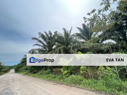 Pekan Nanas Medium Industrial Land, Johor, Pekan Nanas (Pekan Nenas)