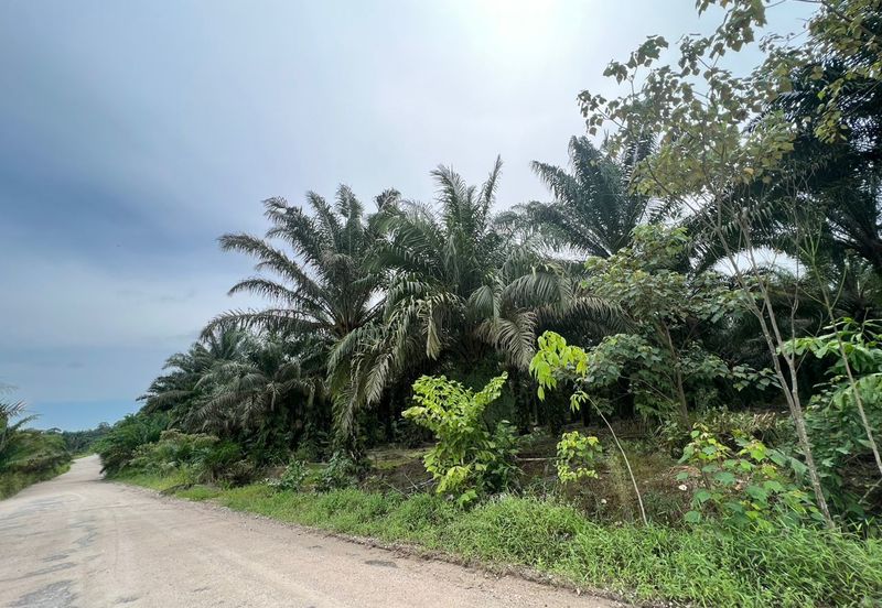 Pekan Nanas Industrial