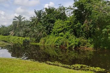Batu Pahat Pt Asam Kumbang Agriculture Land