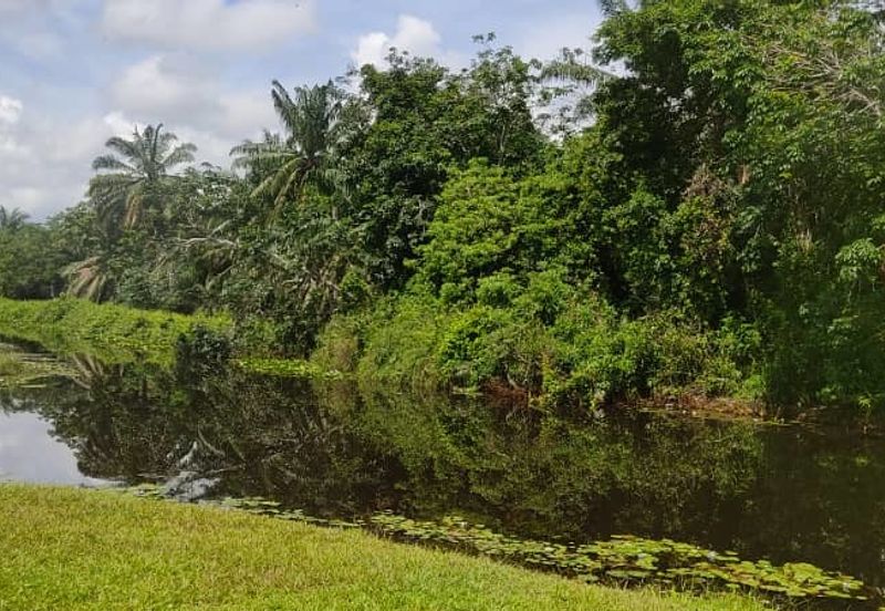 Batu Pahat Pt Asam Kumbang Agriculture Land