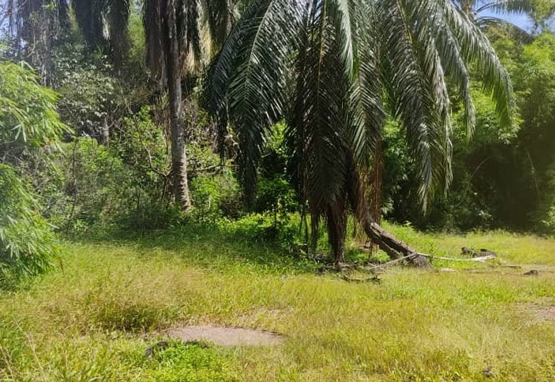 Batu Pahat Pt Asam Kumbang Agriculture Land