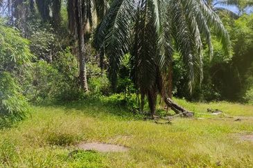 Batu Pahat Pt Asam Kumbang Agriculture Land