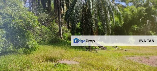 Batu Pahat Pt Asam Kumbang Agriculture Land, Johor, Batu Pahat