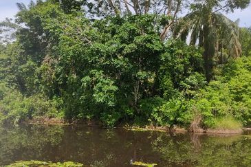 Batu Pahat Pt Asam Kumbang Agriculture Land