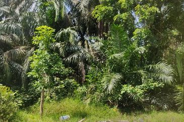 Batu Pahat Pt Asam Kumbang Agriculture Land