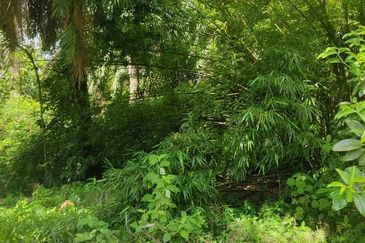 Batu Pahat Pt Asam Kumbang Agriculture Land