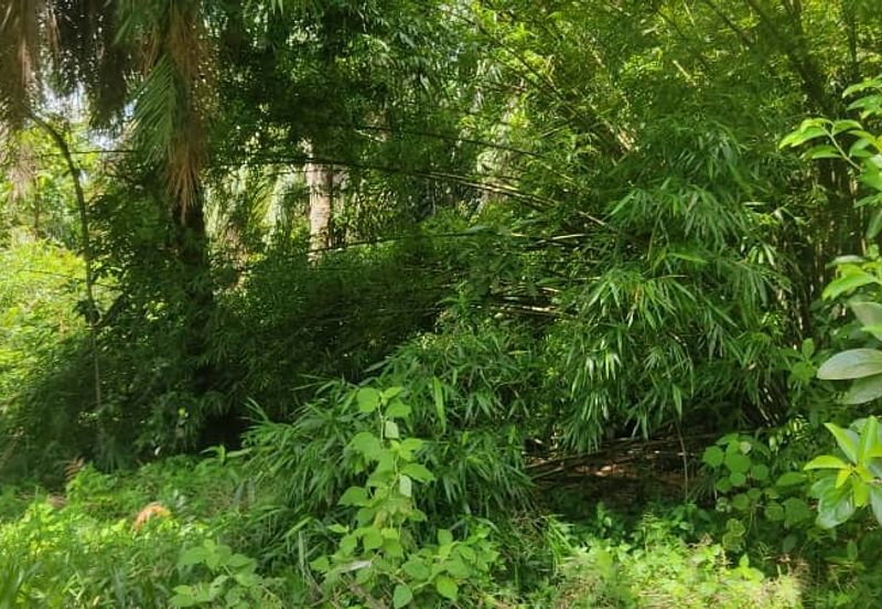 Batu Pahat Pt Asam Kumbang Agriculture Land