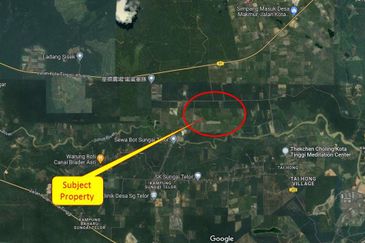 Kota Tinggi Agriculture Land