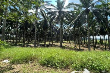 Senai Zoning Industrial Land