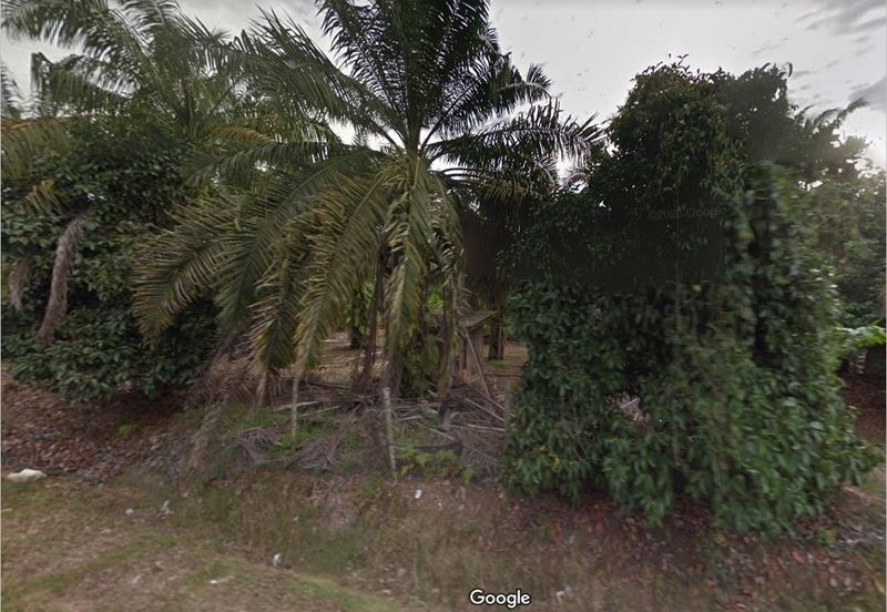 Pekan Nanas Agriculture Land