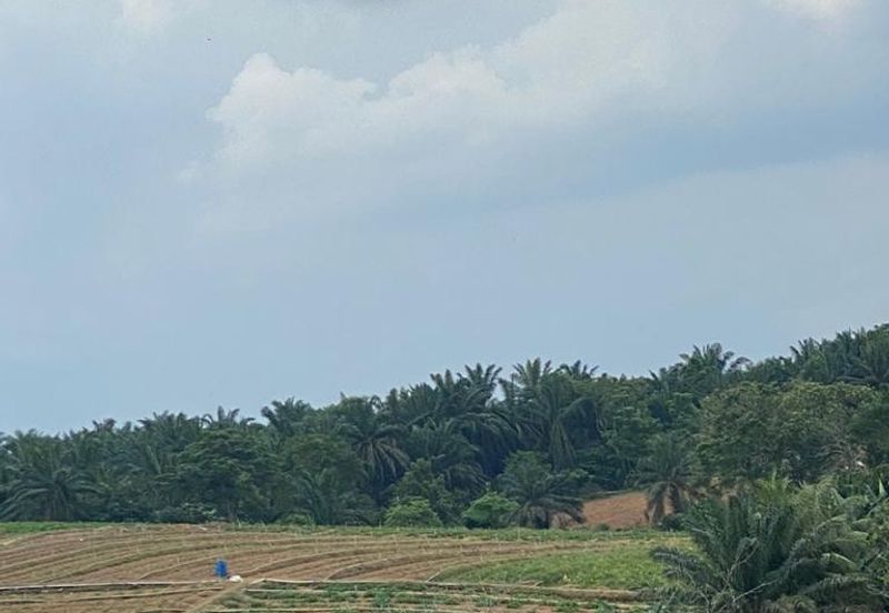 Tebrau Zoning Residential land