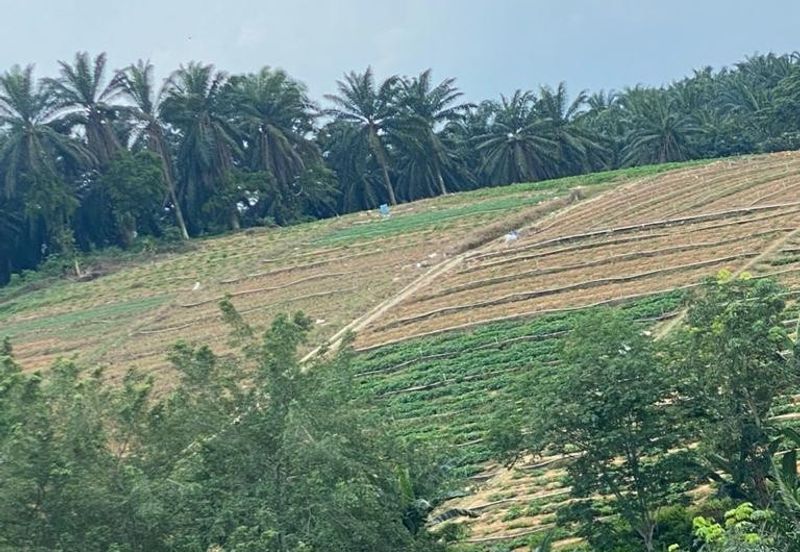 Tebrau Zoning Residential land