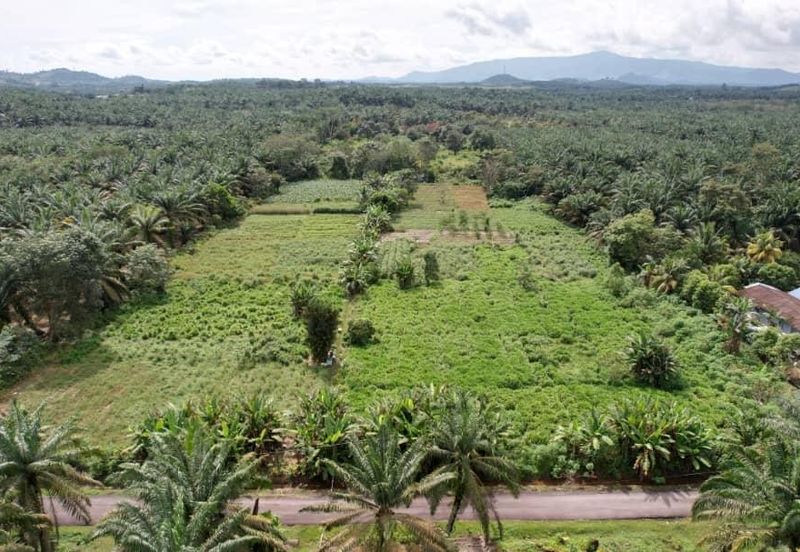 Sedenak Zoning Residential Land
