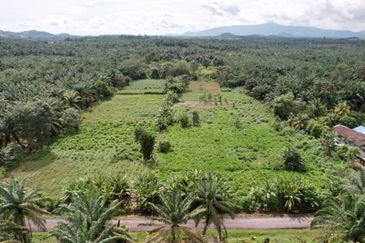 Sedenak Zoning Residential Land