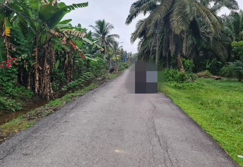 Sedenak Zoning Residential Land