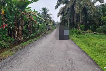 Sedenak Zoning Residential Land