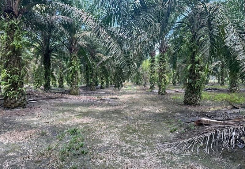 Jalan Kampung Ulu Pulai