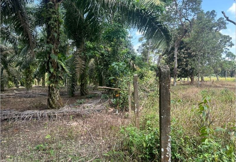 Jalan Kampung Ulu Pulai