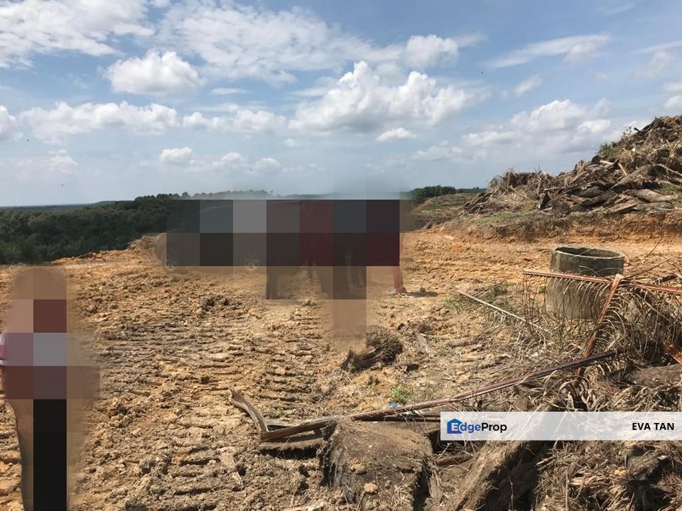 Machap Agriculture Land, Johor, Kluang