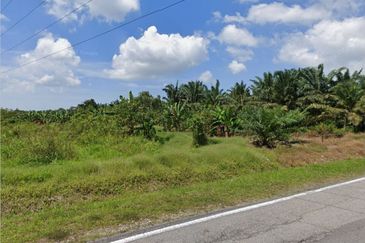 Pontian Agriculture Land